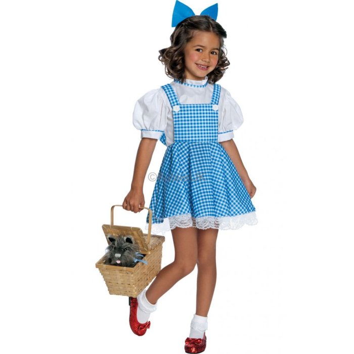 Dorothy wizard of oz costume diy