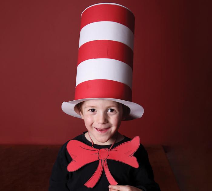 Cat in the hat costume diy