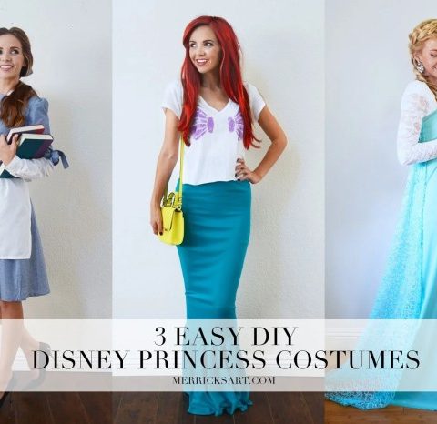 Diy costumes disney princess