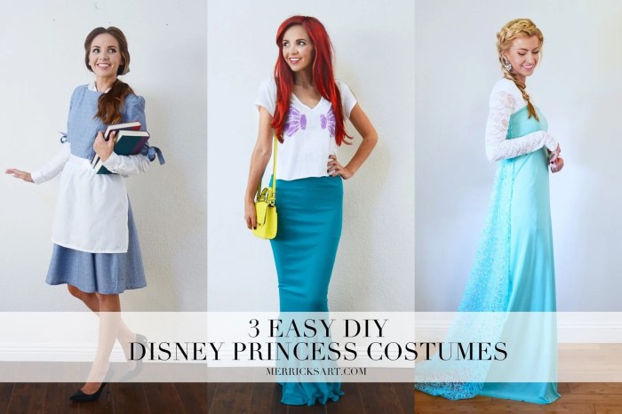 Diy costumes disney princess