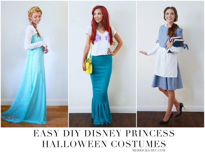 Diy costumes disney princess