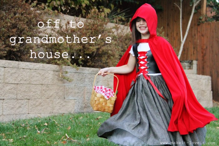 Diy red riding hood costumes