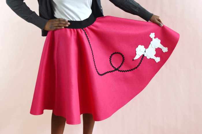 Diy poodle skirt costume without sewing