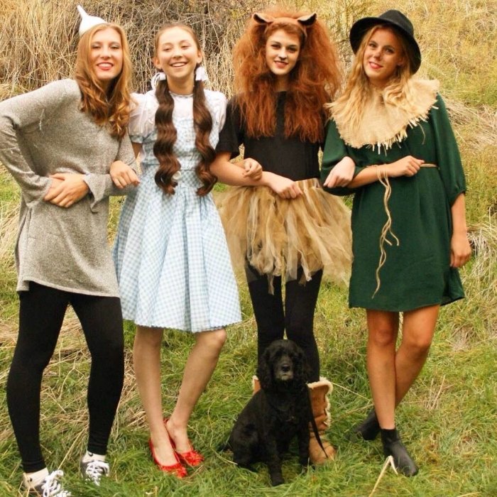 Wizard of oz wizard costume diy