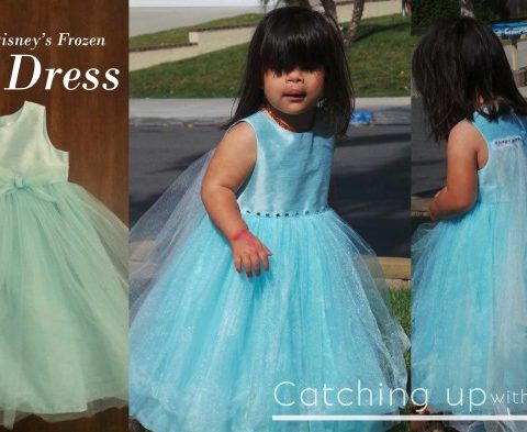 Diy elsa costume frozen