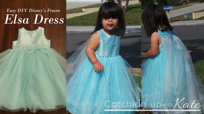 Diy elsa costume frozen